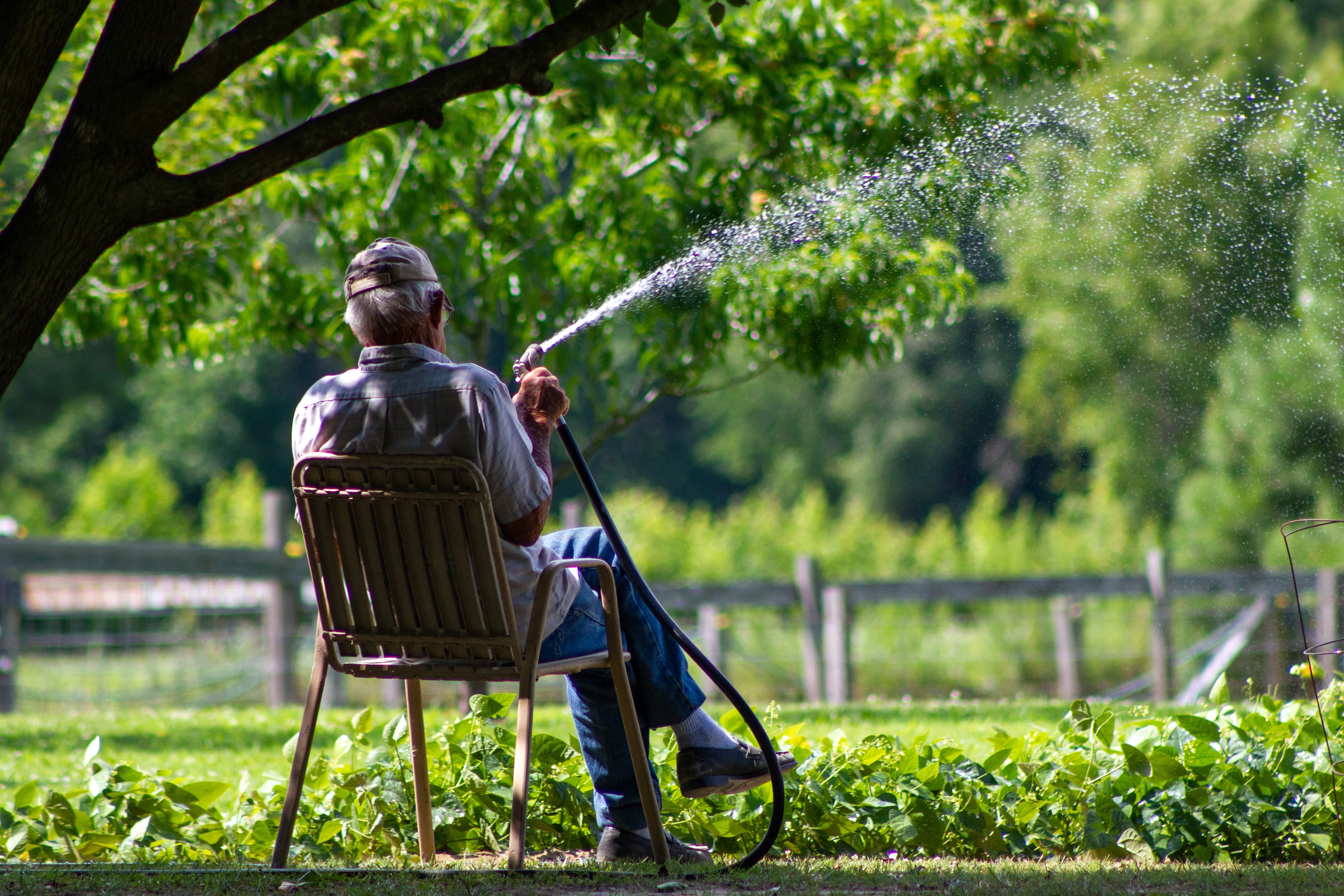 Photo of a man watering